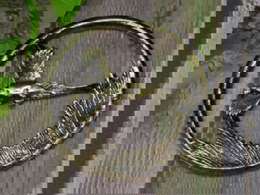 CUT COIN COLLECTIBLE