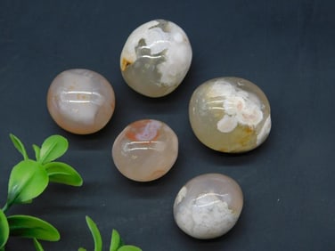 FLOWER PETAL AGATE ROCK STONE LAPIDARY SPECIMEN