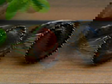 MIXED STONE ADJUSTABLE RINGS ROCK STONE LAPIDARY SPECIMEN