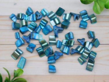 STONE SHELL BEADS ROCK STONE LAPIDARY SPECIMEN