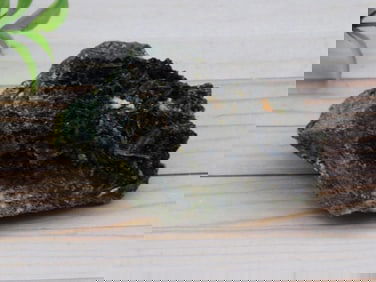 EPIDOTE ROCK STONE LAPIDARY SPECIMEN