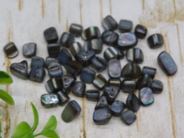 SHELL BEADS ROCK STONE LAPIDARY SPECIMEN