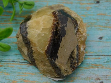 SEPTARIAN POINT ROCK STONE LAPIDARY SPECIMEN