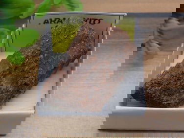 ARAGONITE ROCK STONE LAPIDARY SPECIMEN