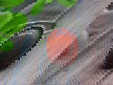 STONE RING ROCK STONE LAPIDARY SPECIMEN