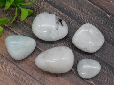 TUMBLED ROCK STONE LAPIDARY SPECIMEN