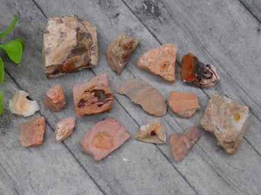 ROUGH OPALS ROCK STONE LAPIDARY SPECIMEN