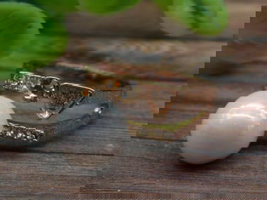 STONE RING ROCK STONE LAPIDARY SPECIMEN