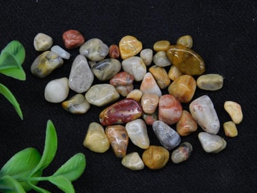 CRAZY LACE CHIPS ROCK STONE LAPIDARY SPECIMEN