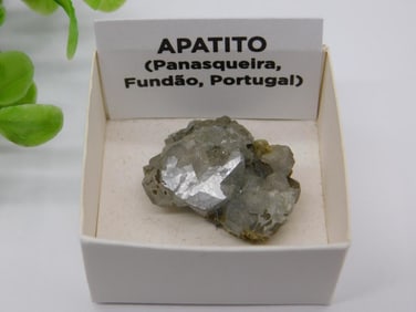 Apatite Mineral Sample from Panasqueira, Portugal ROCK STONE LAPIDARY SPECIMEN
