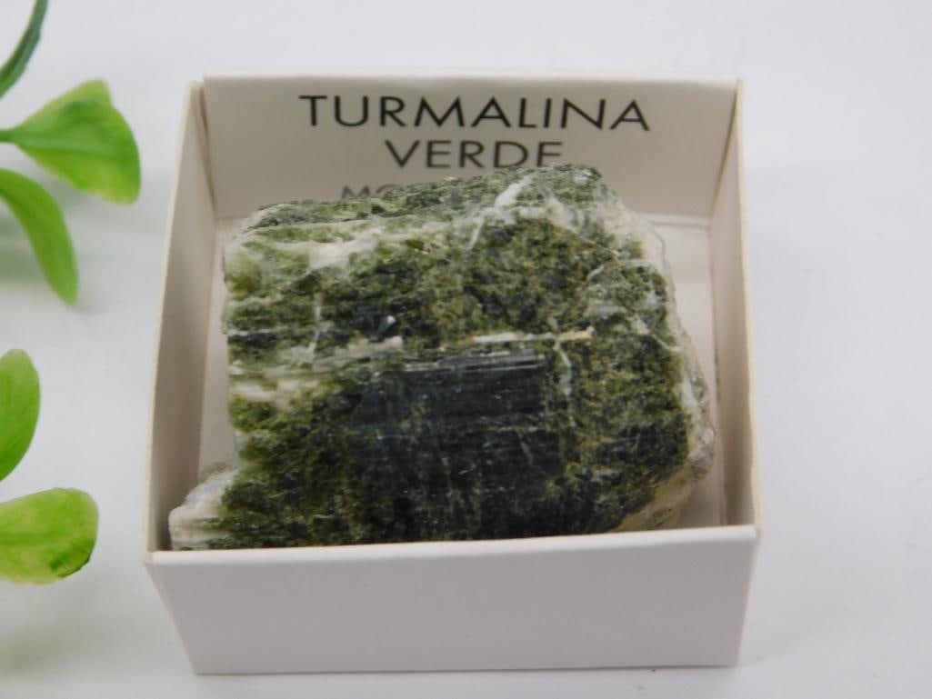 Green Tourmaline Stone Specimen in Display Box ROCK STONE LAPIDARY SPECIMEN: Green Tourmaline Stone Specimen in Display Box ROCK STONE LAPIDARY SPECIMEN
