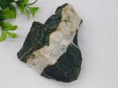 Green and White Zebra ROCK STONE LAPIDARY SPECIMEN