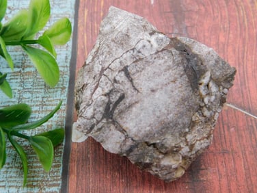 ROCK STONE LAPIDARY SPECIMEN