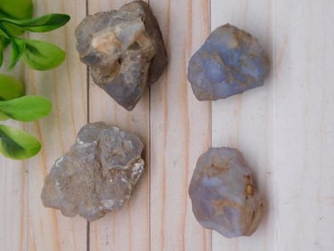 ELLENSBURG AGATE ROCK STONE LAPIDARY SPECIMEN