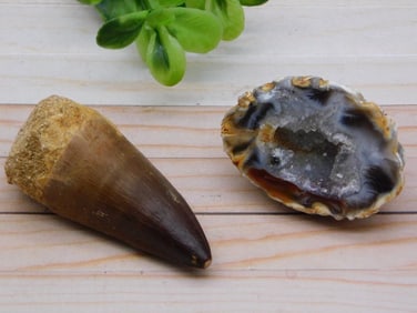MIXED LOT ROCK STONE LAPIDARY SPECIMEN