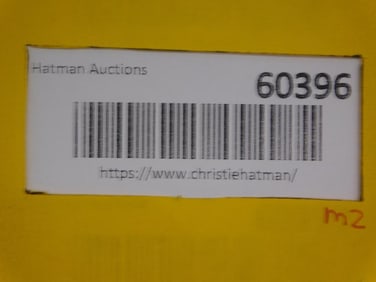 TRILOBITE FOSSIL ROCK STONE LAPIDARY SPECIMEN