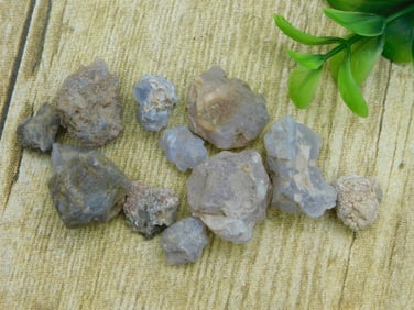 ELLENSBURG AGATE ROCK STONE LAPIDARY SPECIMEN