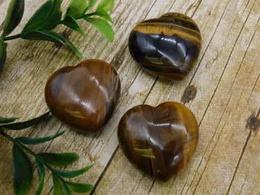 TIGER IRON HEARTS ROCK STONE LAPIDARY SPECIMEN