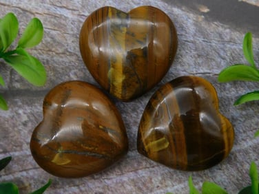 TIGER IRON HEARTS ROCK STONE LAPIDARY SPECIMEN