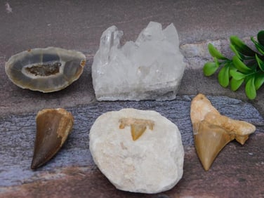 MIXED LOT ROCK STONE LAPIDARY SPECIMEN