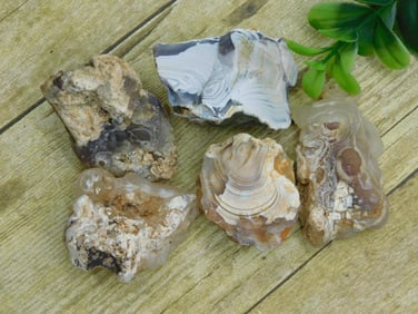 MIXED STONE LOT ROCK STONE LAPIDARY SPECIMEN