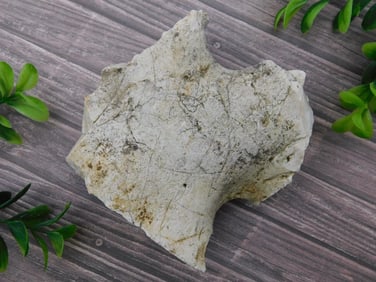 ROCK STONE LAPIDARY SPECIMEN
