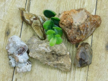 MIXED LOT ROCK STONE LAPIDARY SPECIMEN