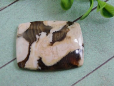 PEANUT WOOD JASPER CABOCHON ROCK STONE LAPIDARY SPECIMEN