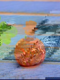 COPPER FLAKES IN BOTTLE ROCK STONE LAPIDARY SPECIMEN