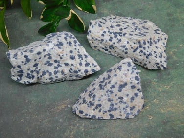 DALMATION JASPER ROCK STONE LAPIDARY SPECIMEN