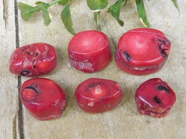 RED CORAL ROCK STONE LAPIDARY SPECIMEN