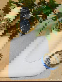 STONE RINGS ROCK STONE LAPIDARY SPECIMEN