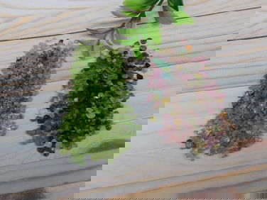 PERIDOT AND TOURMALINE ROCK STONE LAPIDARY SPECIMEN