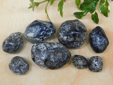 APACHE TEARS ROCK STONE LAPIDARY SPECIMEN