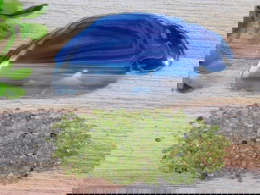 MIXED LOT ROCK STONE LAPIDARY SPECIMEN