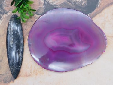 MIXED LOT ROCK STONE LAPIDARY SPECIMEN