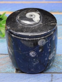 ORTHOCERAS TRINKET BOX ROCK STONE LAPIDARY SPECIMEN