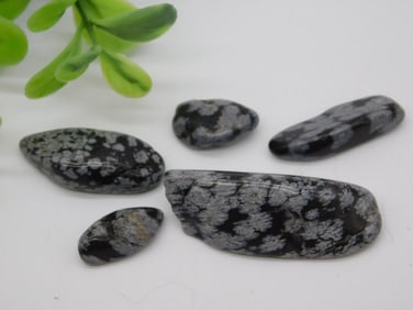 SNOWFLAKE OBSIDIAN ROCK STONE LAPIDARY SPECIMEN