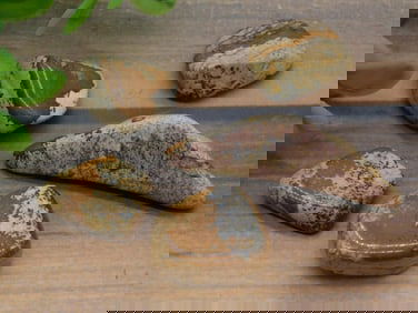 PICTURE JASPER ROCK STONE LAPIDARY SPECIMEN