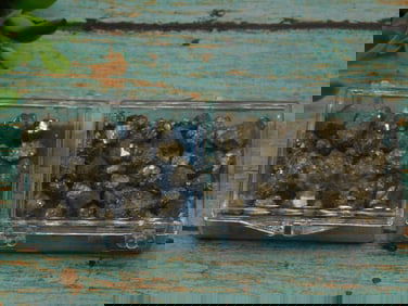 PYRITE ROCK STONE LAPIDARY SPECIMEN