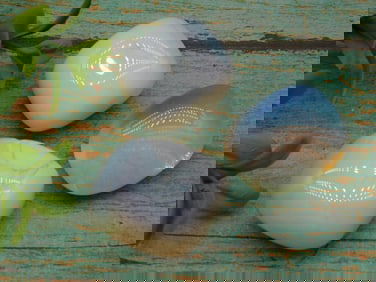 OPALITE ROCK STONE LAPIDARY SPECIMEN