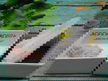 MIXED ROUGH LOT ROCK STONE LAPIDARY SPECIMEN