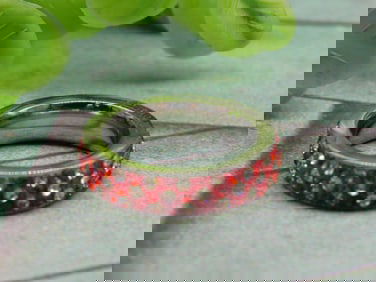 STONE RING ROCK STONE LAPIDARY SPECIMEN