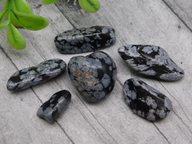 SNOWFLAKE OBSIDIAN ROCK STONE LAPIDARY SPECIMEN