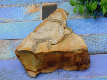 JASPER ROCK STONE LAPIDARY SPECIMEN