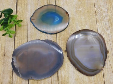 AGATE SLICES ROCK STONE LAPIDARY SPECIMEN