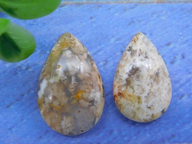 CABOCHON ROCK STONE LAPIDARY SPECIMEN
