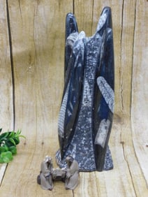 MIXED LOT ROCK STONE LAPIDARY SPECIMEN