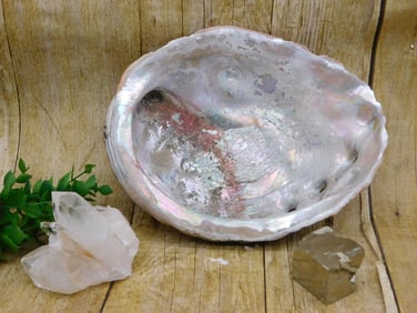 MIXED LOT ROCK STONE LAPIDARY SPECIMEN