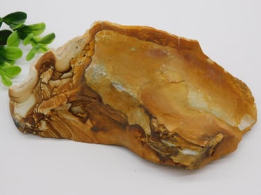 JASPER ROCK STONE LAPIDARY SPECIMEN